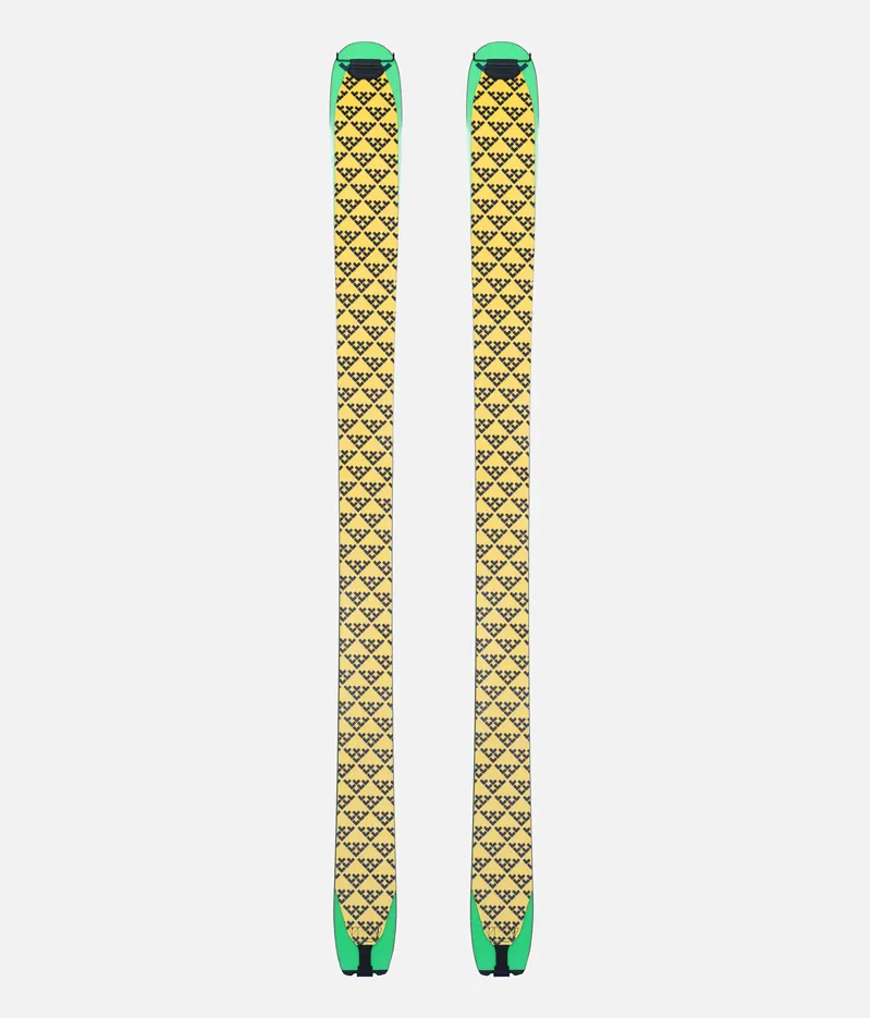 Black Crows Pilus Navis Freebird Skins